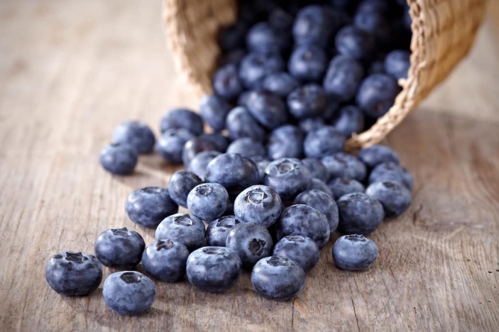 blueberries may help boost brain power