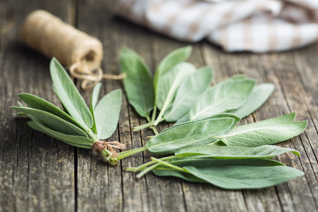 Sage may help boost memory and concentration