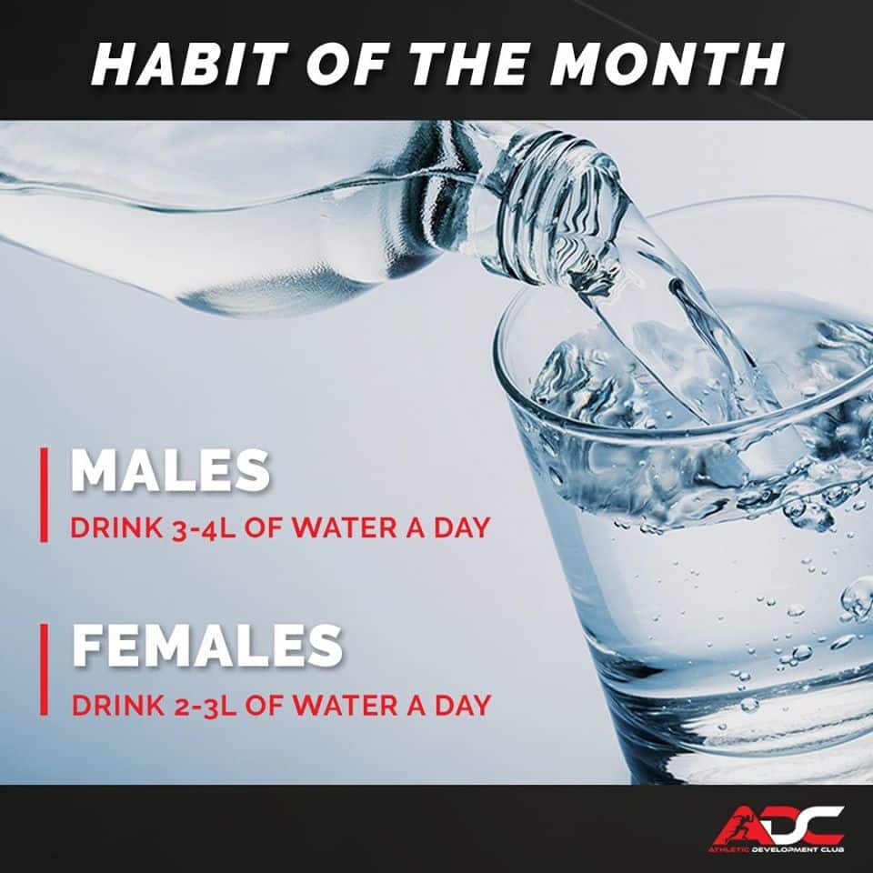 January’s HABIT OF THE MONTH