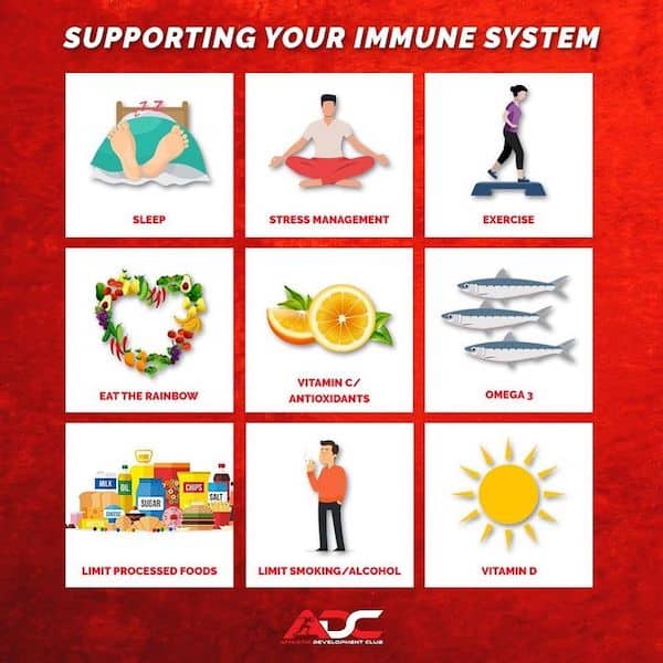 Supporting Your Immune System Image