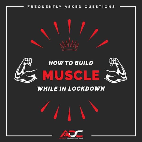 How to build muscle while in lockdown image