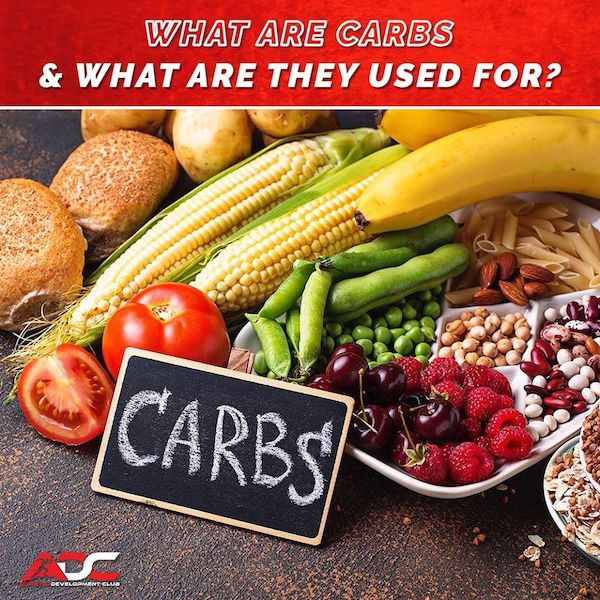 What are carbs and what are they used for