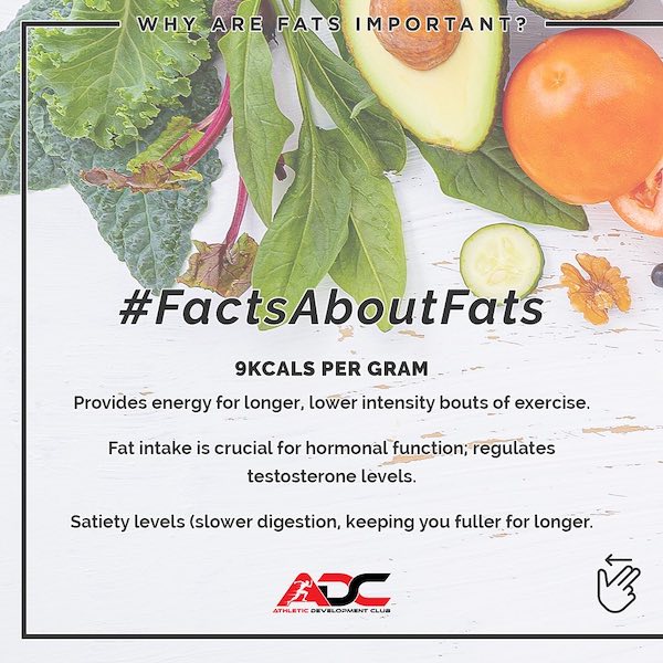 Facts about Fats Image
